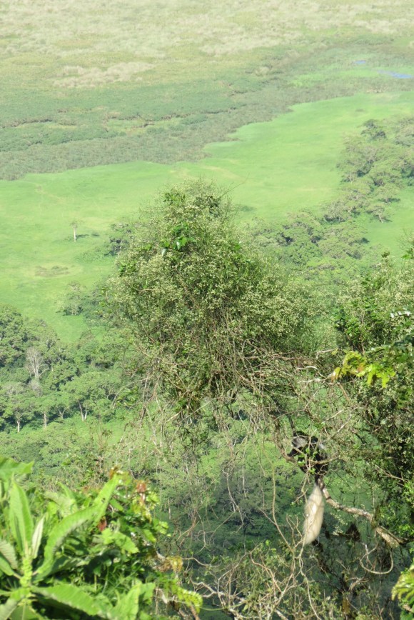 IMG_2004 - Version 2