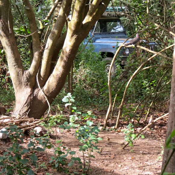 seed_patch_landrover